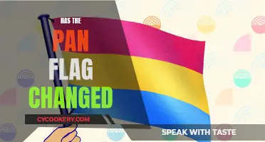 The Evolution of the Pan Flag: A Symbol of Pride