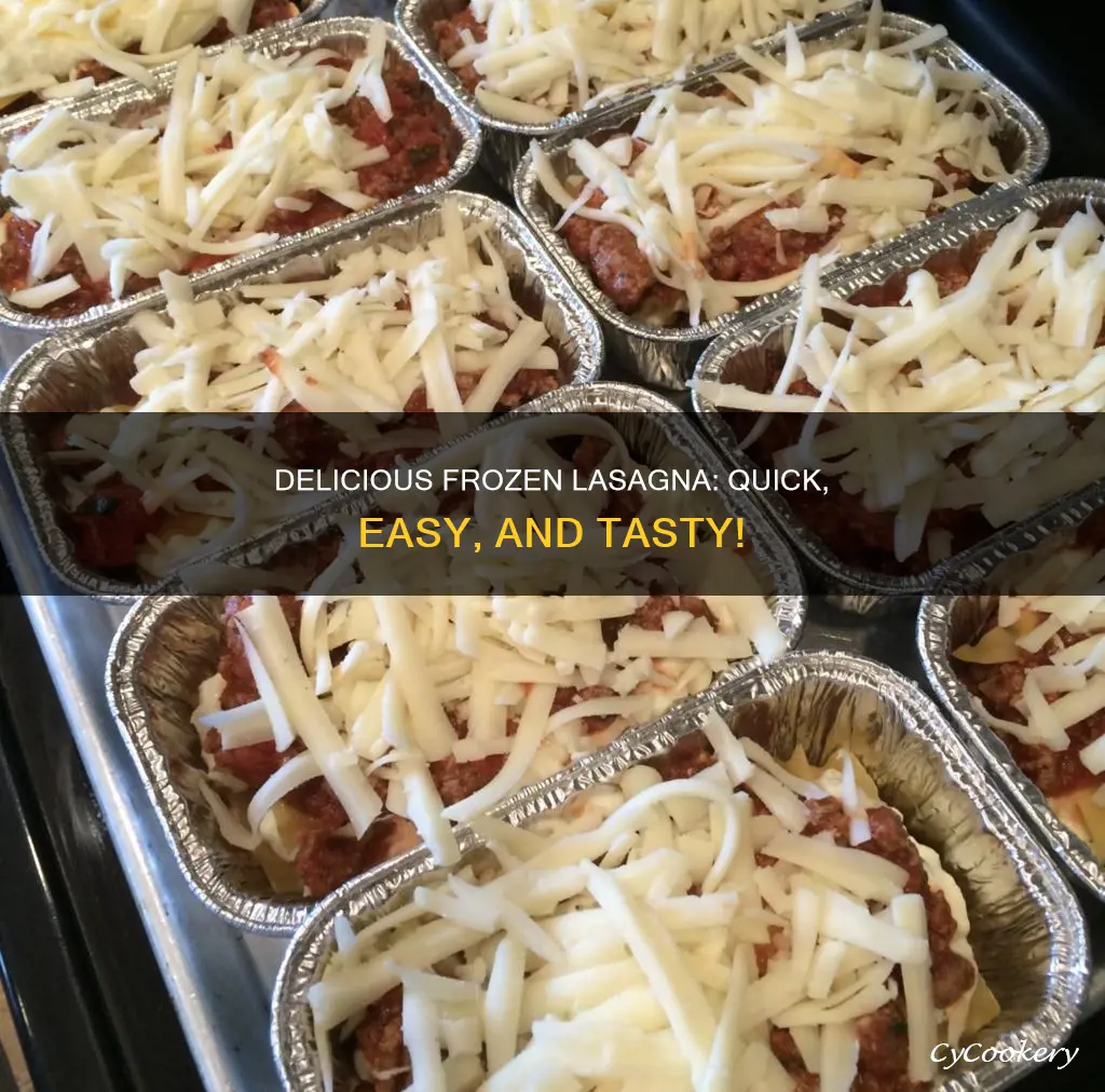 have a pan of frozen lasagna