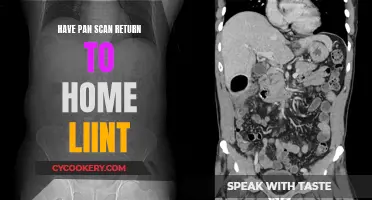 Pan Scan: Returning Home with a Safety Net