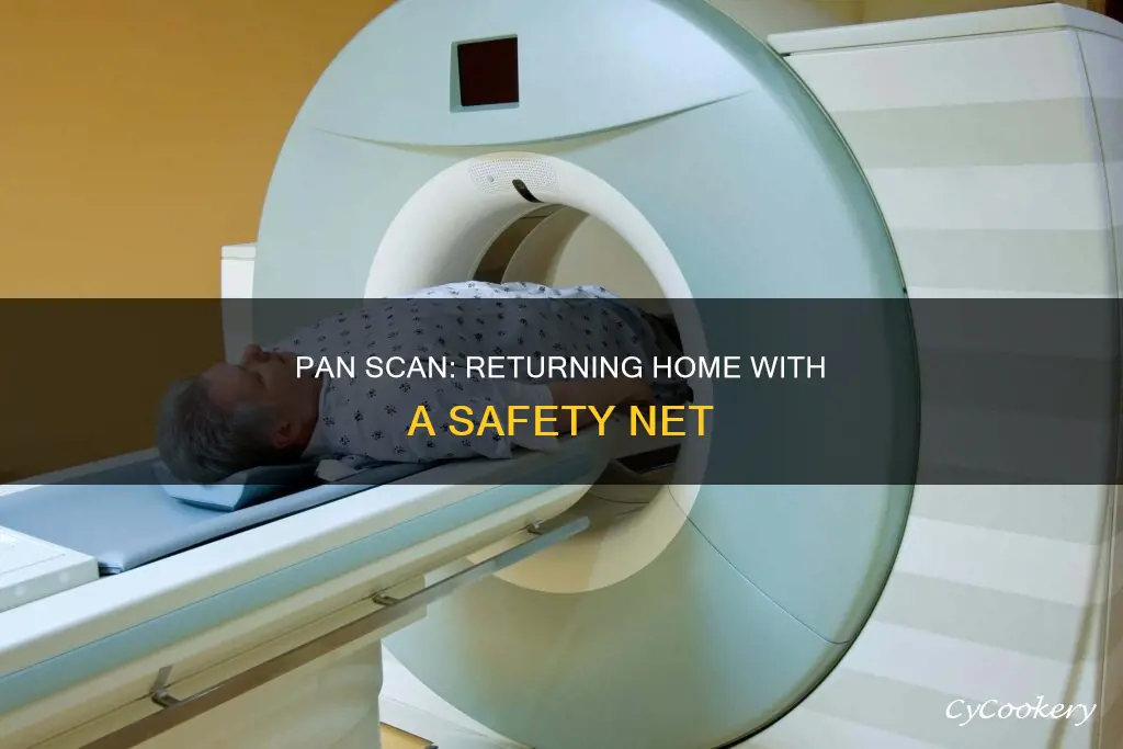 have pan scan return to home liint