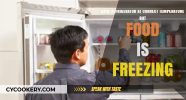 Why Is Your Food Freezing in a Correctly Set Refrigerator?