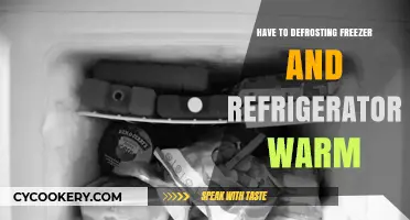 Efficient Defrosting Tips: Warming Your Freezer and Fridge Safely
