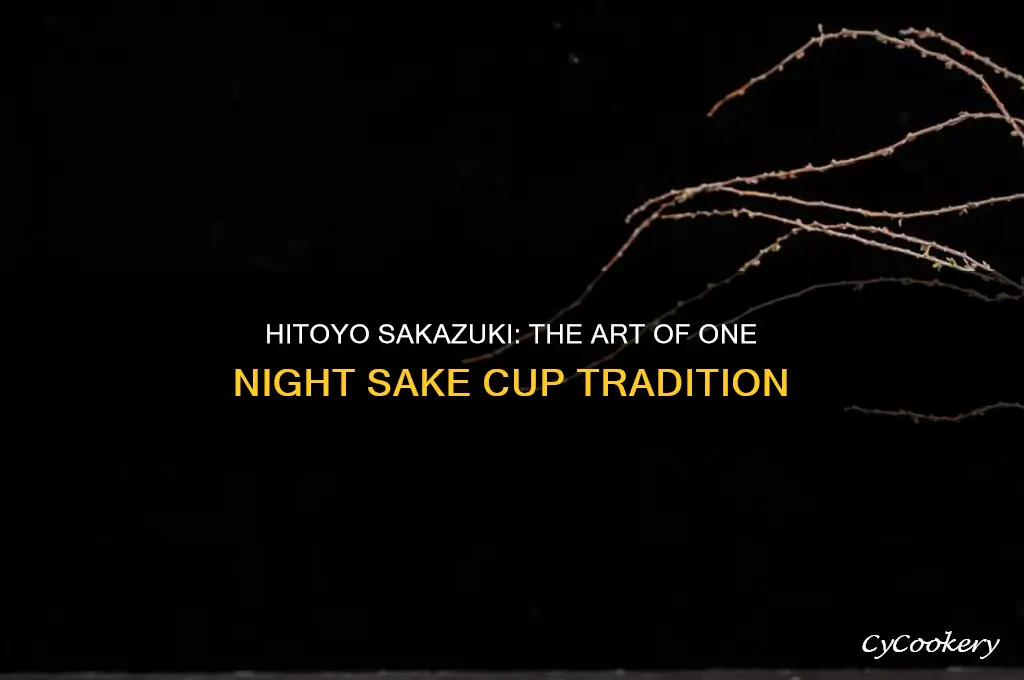hitoyo sakazuki one night sake cup
