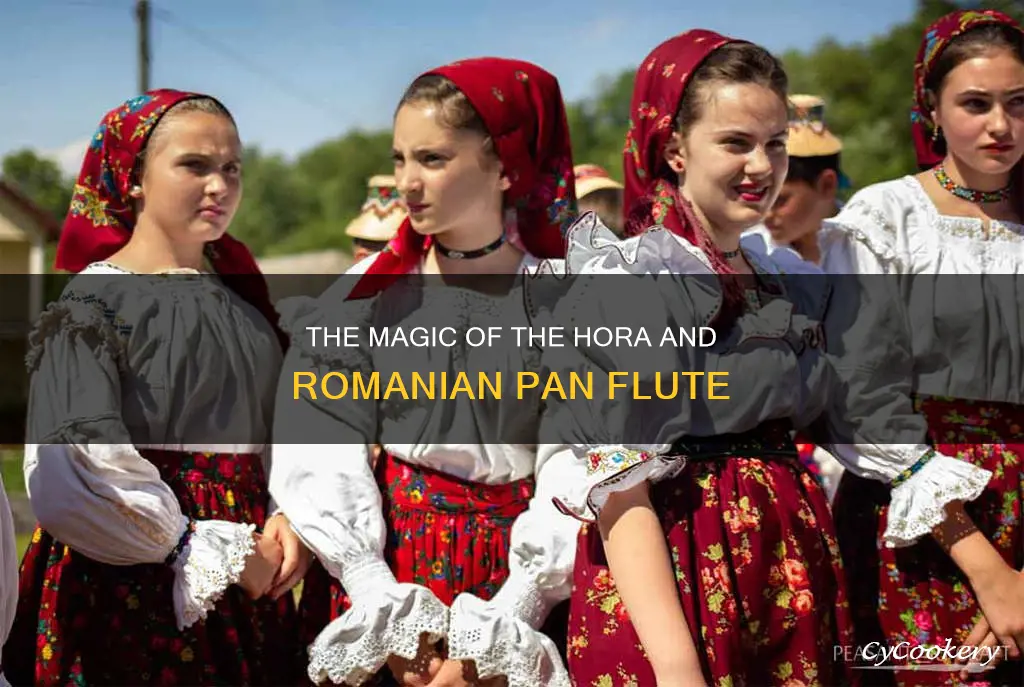 hora romanian pan flute