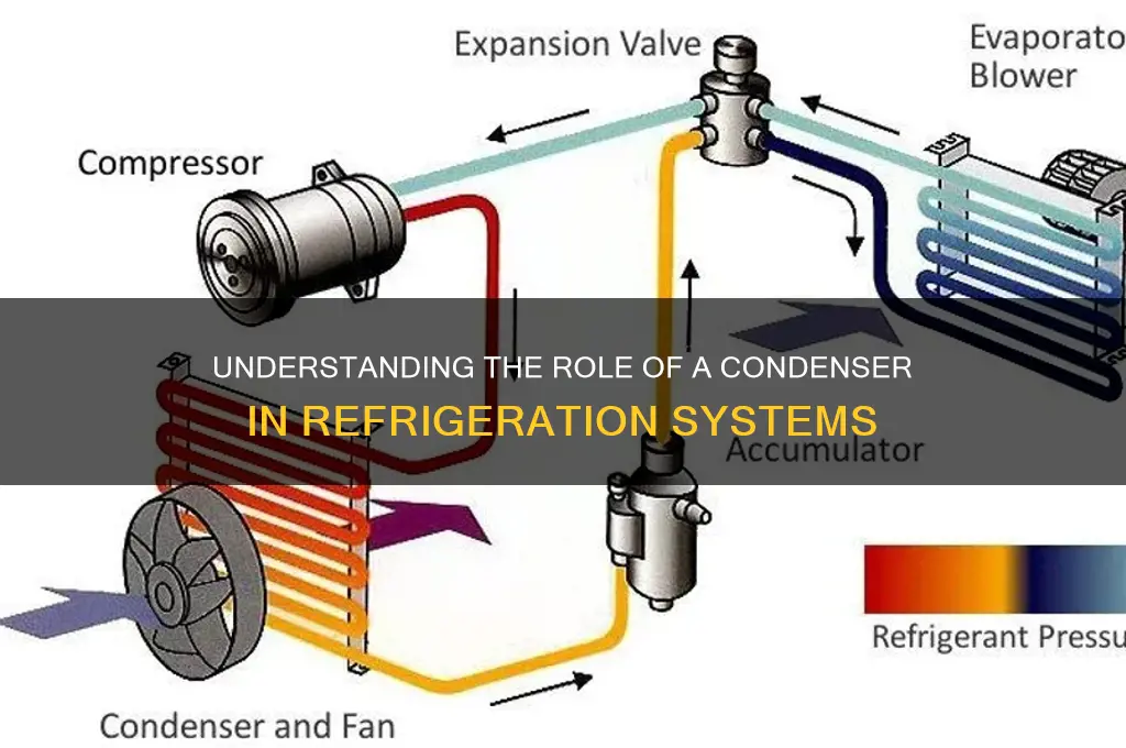 how a condenser works in a refrigerator