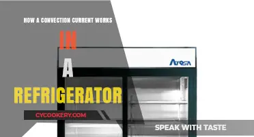 Understanding Convection Currents: The Cooling Mechanism Behind Your Refrigerator