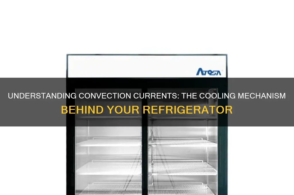 how a convection current works in a refrigerator