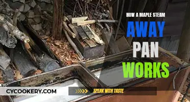 The Magic of Maple Steam Away Pans
