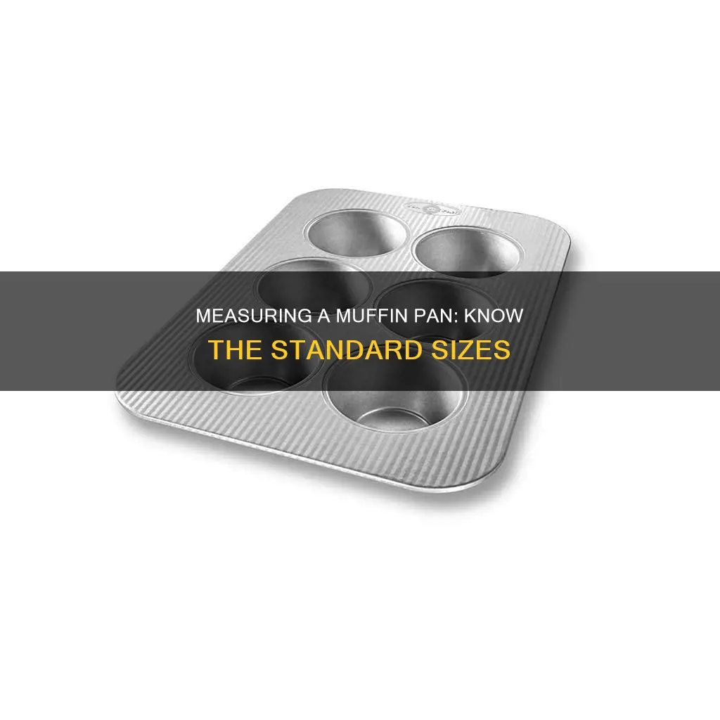 how a muffin pan is measured