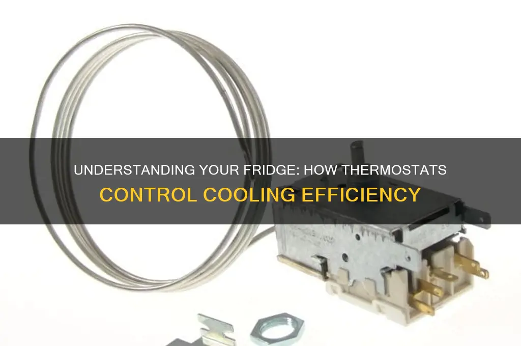 how a thermostat works in a refrigerator