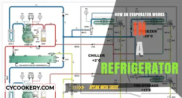 Understanding the Role of an Evaporator in Refrigeration Systems