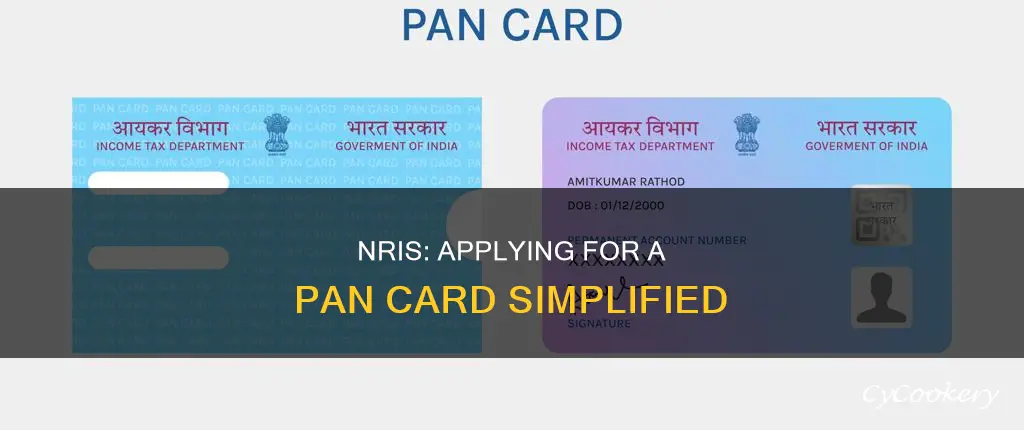 how an nri can apply for pan card