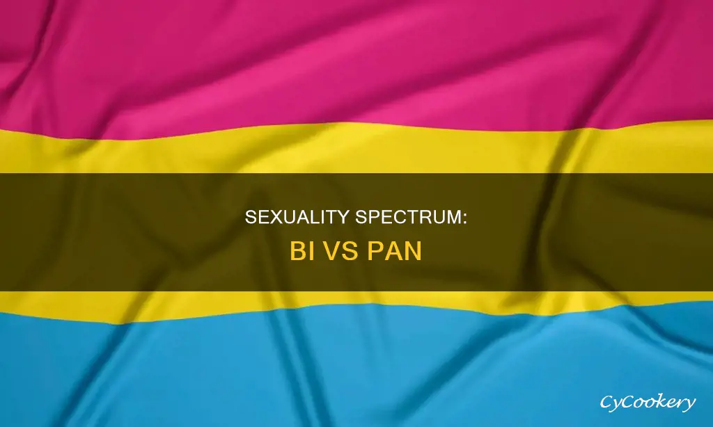 how are bi and pan difference