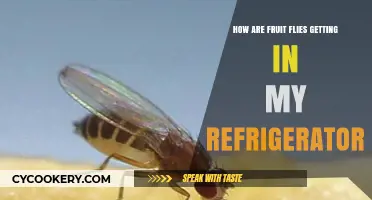 Fruit Flies in Fridge: Causes, Prevention, and Effective Solutions
