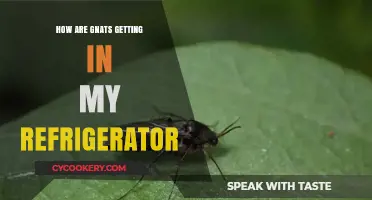 Gnats in the Fridge: Uncovering Entry Points and Prevention Tips