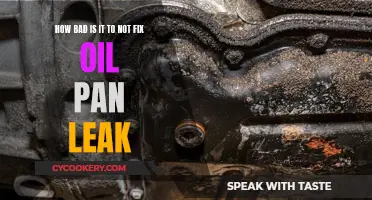 Oil Pan Leak: Ignore at Your Peril