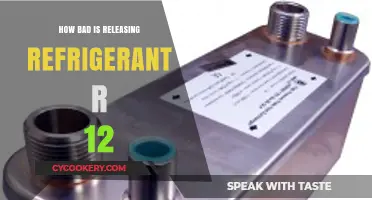 The Environmental Impact of Releasing Refrigerant R-12: A Critical Analysis