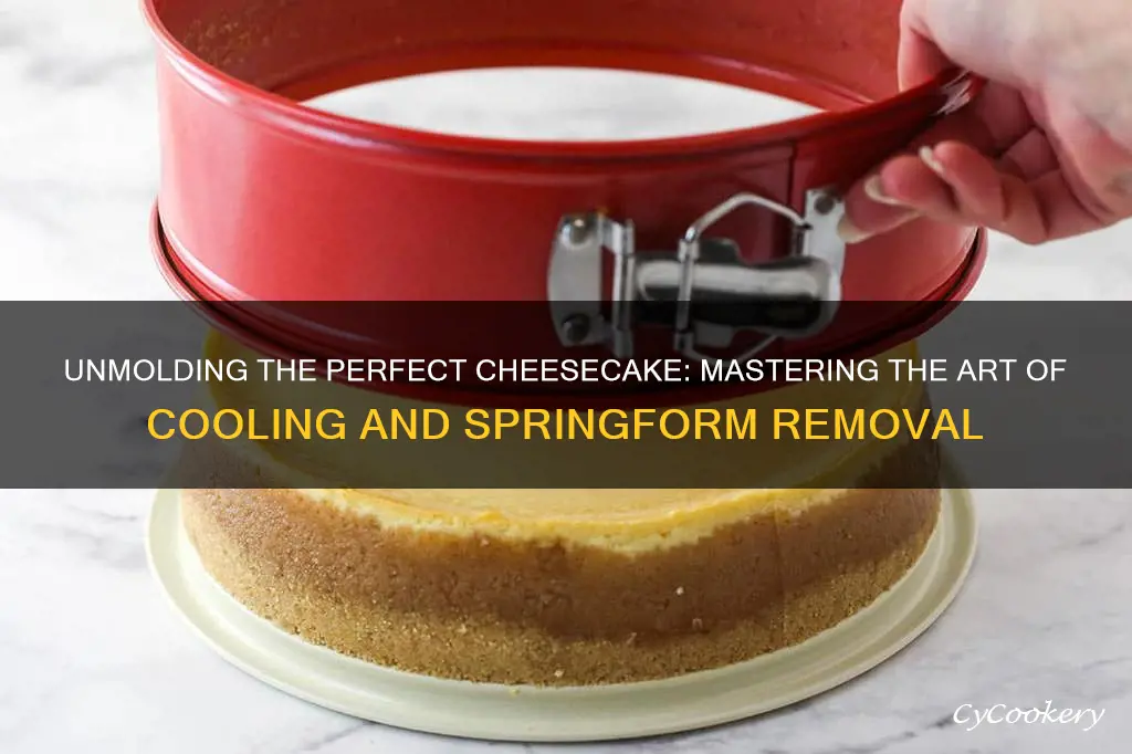 how best to cool cheesecake and removing from springform pan