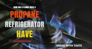 Propane Refrigerator Flame Size: Understanding Safety and Efficiency