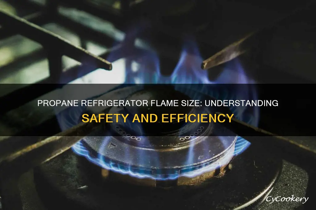 how big a flame does a propane refrigerator have
