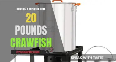 The Perfect Fryer Size: Cooking 20 Pounds of Crawfish