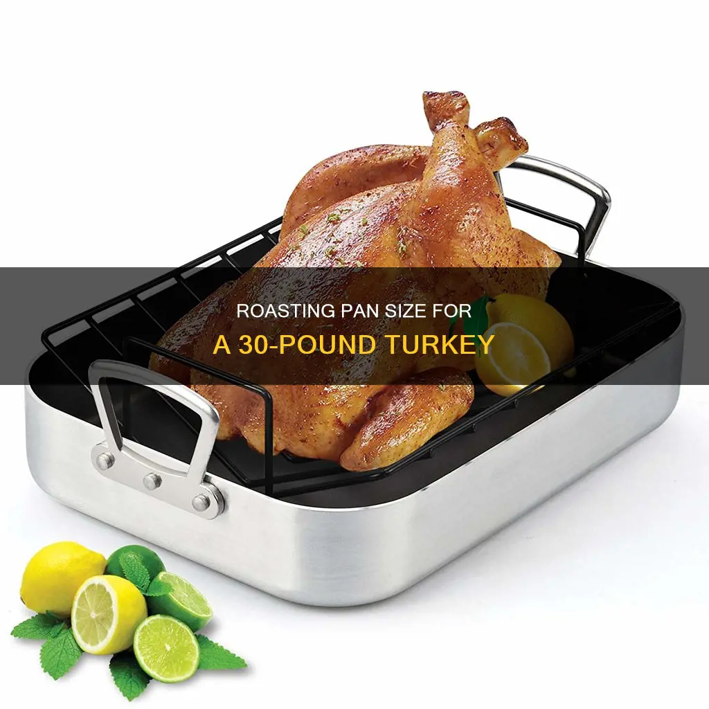 how big a roasting pan for a 30 pound turkey