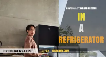 Standard Freezer Size in Refrigerators: Dimensions and Capacity Explained