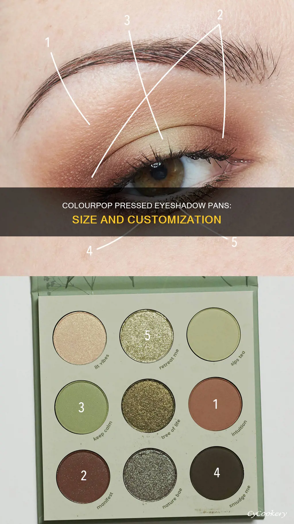 how big are colourpop pressed eyeshadow pans