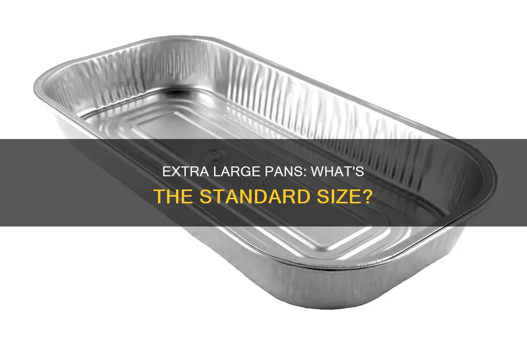 how big are extra large pans