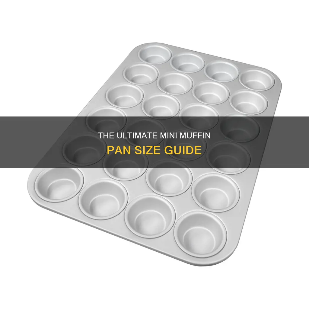 how big are mini muffin pans