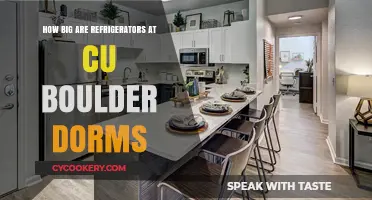 CU Boulder Dorm Refrigerator Sizes: What to Expect