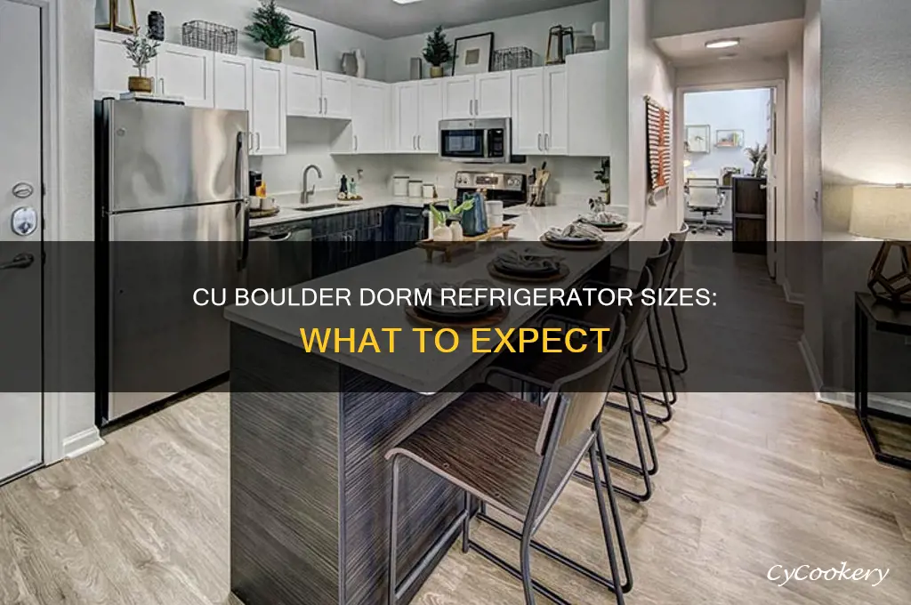 how big are refrigerators at cu boulder dorms
