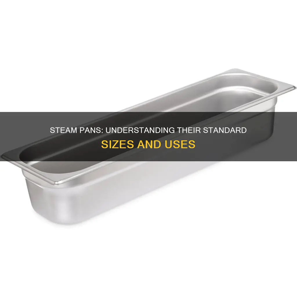 how big are steam pans