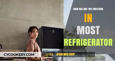 Standard Refrigerator Freezer Sizes: What to Expect in Most Models