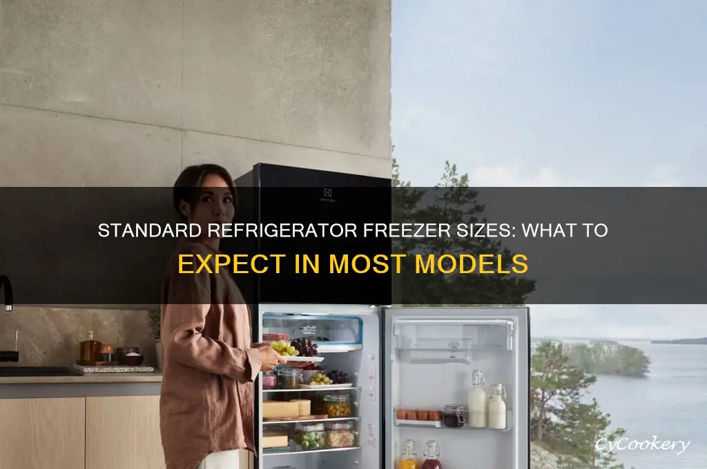 how big are the freezers in most refrigerators