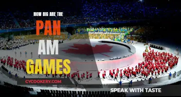 Pan Am Games: A Massive Sporting Event
