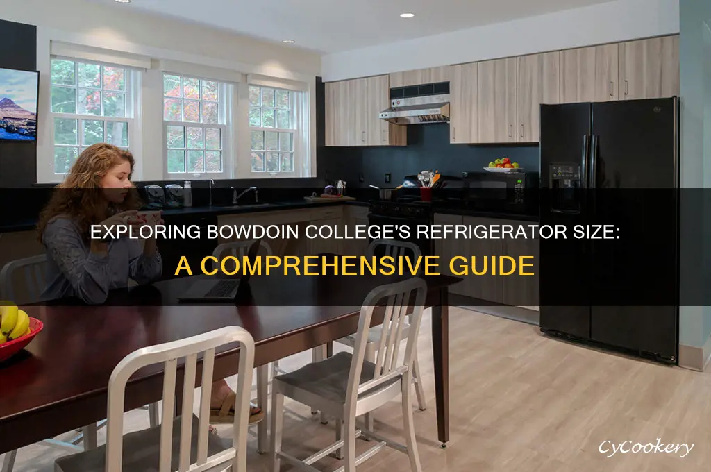 how big can the refrigerator at bowdoin college