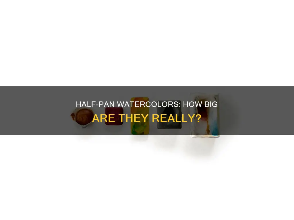 how big half pan watercolor