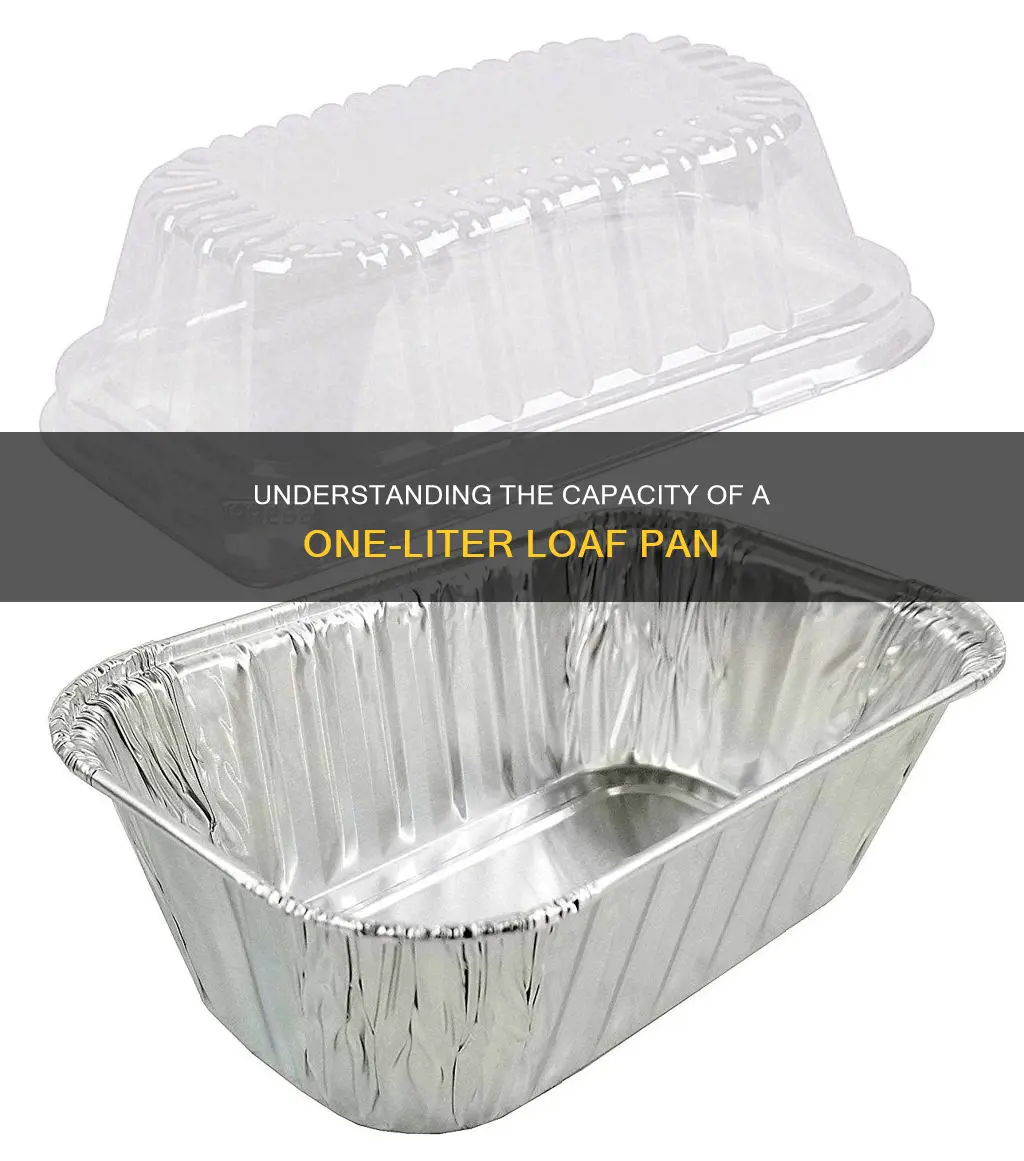 how big is 1 liter load pan