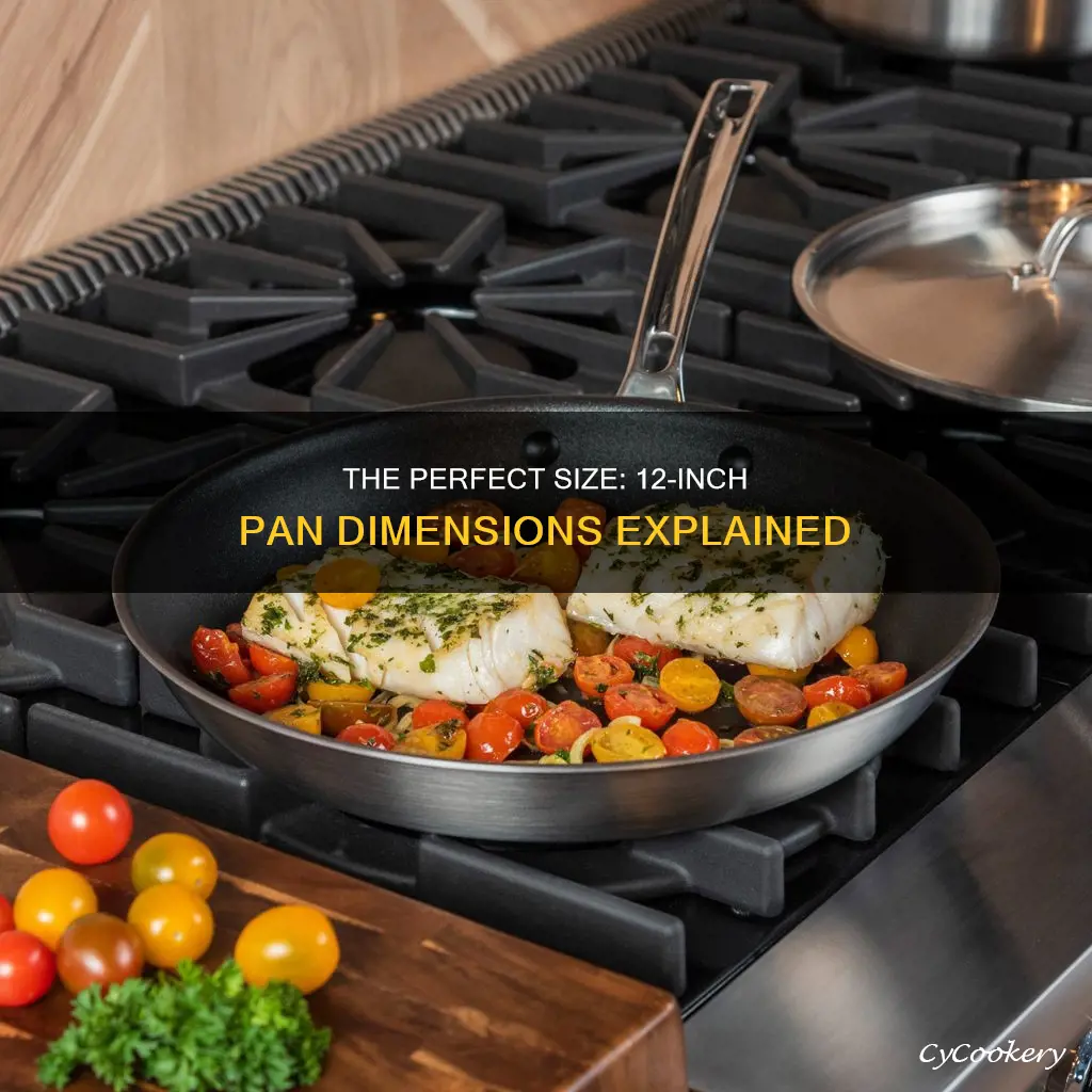 how big is 12 inch pan