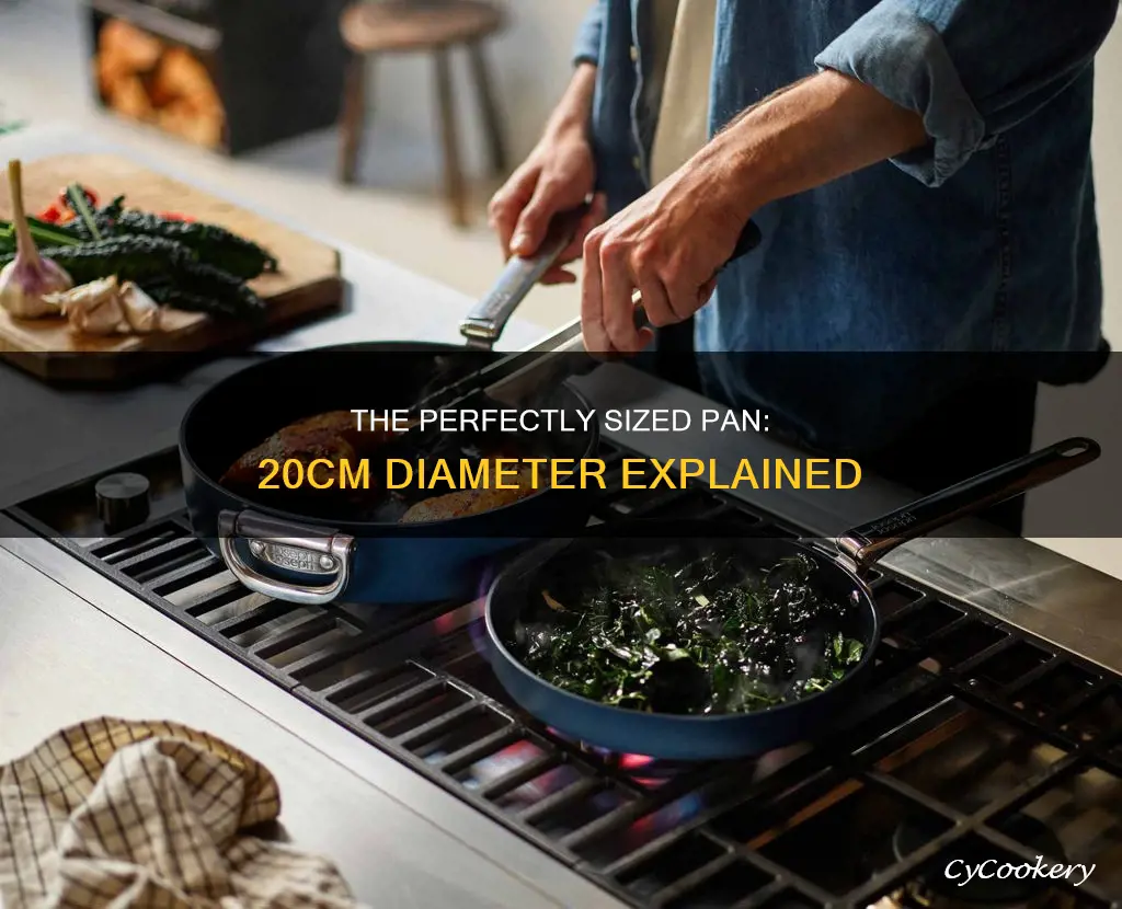 how big is 20cm pan