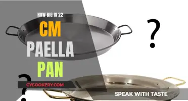 A Decent-Sized Paella Pan: 22cm Diameter Explained