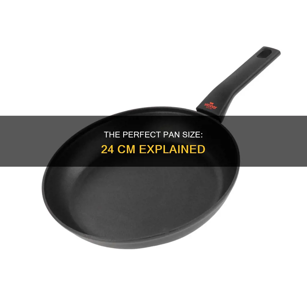 how big is 24 cm pan