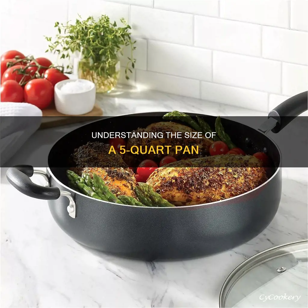 how big is 5 quart pan