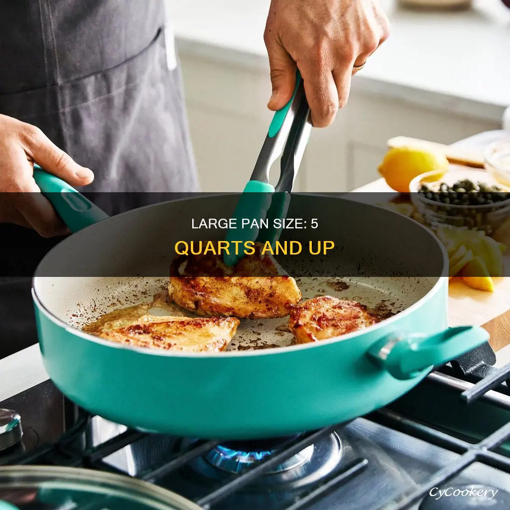how big is 5 quarts pan