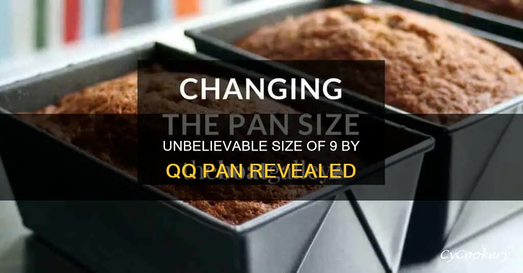 how big is 9 by qq pan