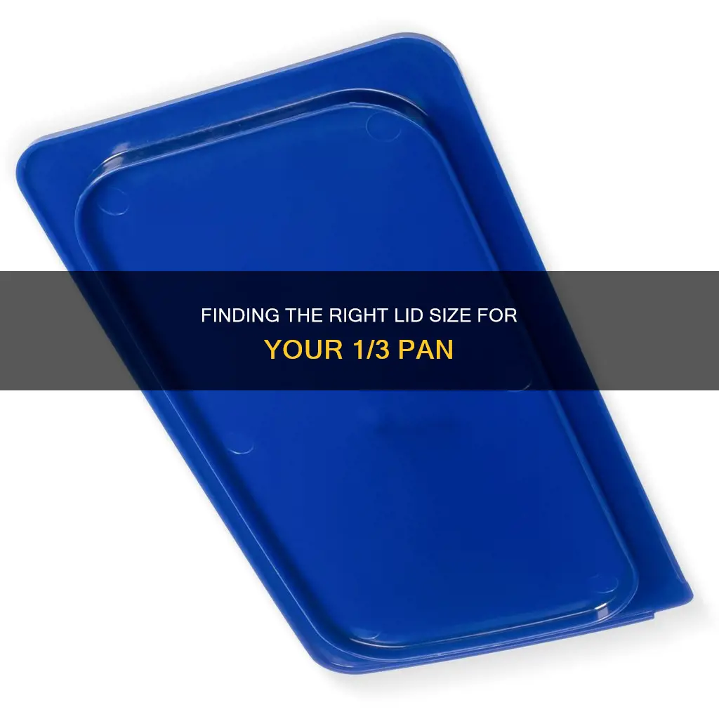 how big is a 1 3 pan lid
