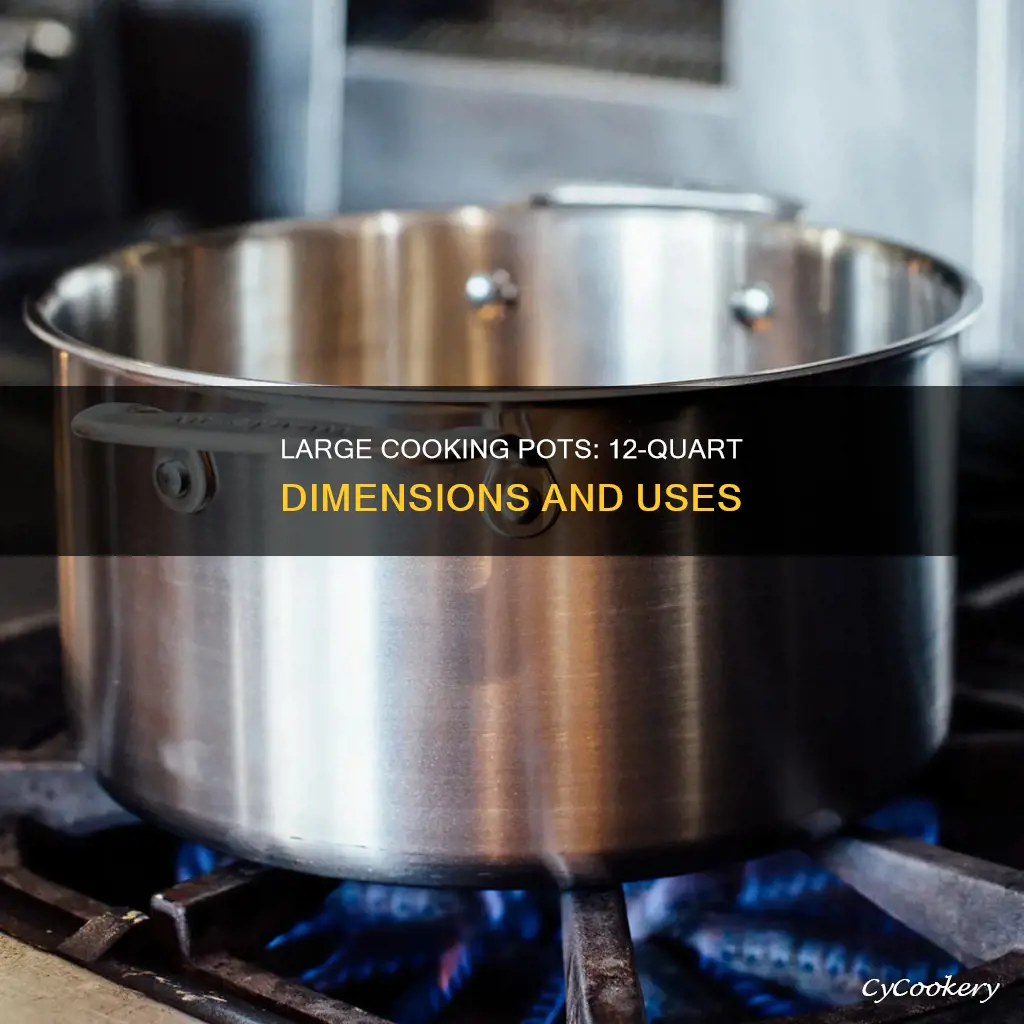 how big is a 12 qt gallon cooking pot
