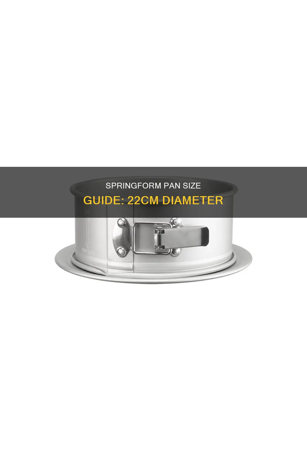 how big is a 22cm springform pan