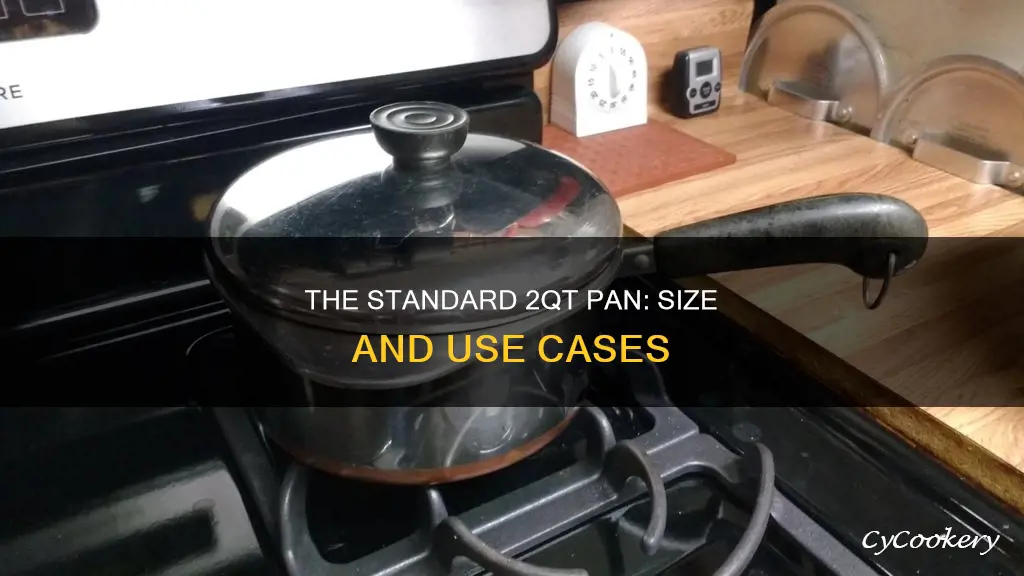 how big is a 2qt pan